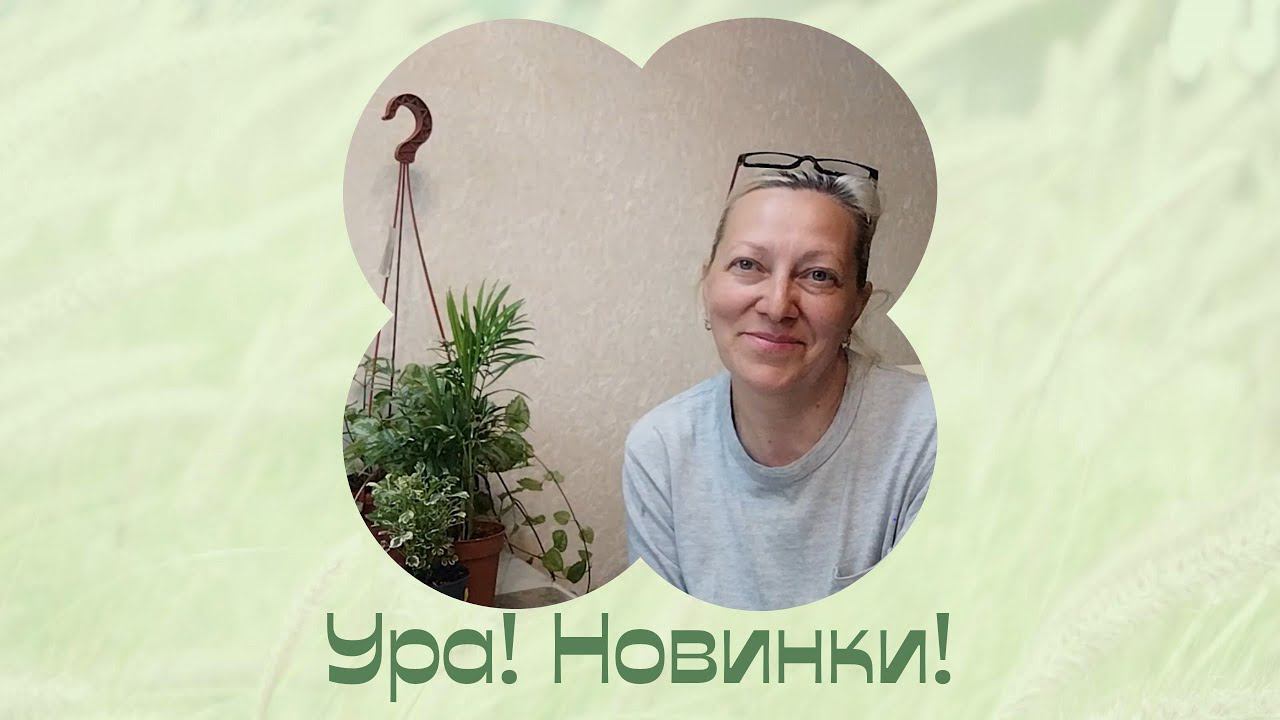 Об этом давно не было! Растения дома.