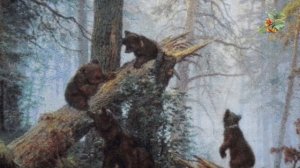 Любуемся процессом вышивки ЭстЭ 027 Утро в Сосновом Лесу