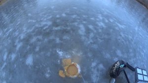 Первый лед 2022. #оренбург #отдых #Orenfish056 #мормышка #зимняярыбалка