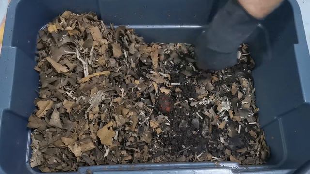 Worm Bin Weekends! Week 20 - Bin 2: Slow progress, and added grit! смотреть онлайн