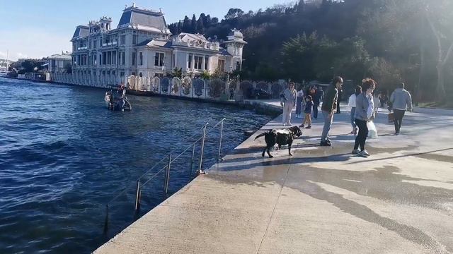 Набережная Стабмула возле моста Султана Мехмеда Фатиха смотреть онлайн