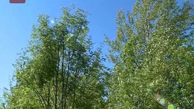 Губернатор Сергей Митин посетил стадион «Центральный» в Великом Новгороде смотреть онлайн