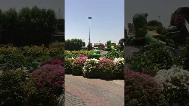 Miracle Garden,  Dubai 2019
