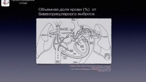 ВПС-1