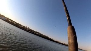 Ловля леща! Кориандр против корицы.