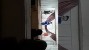 Отборочный тур, поём песню ,,Три подружки"