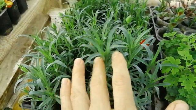 Обзор 30 марта 23г смотреть онлайн