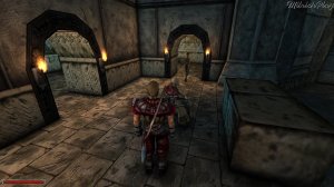 Шпионим в Братстве►Глава 2► Gothic / Готика #06