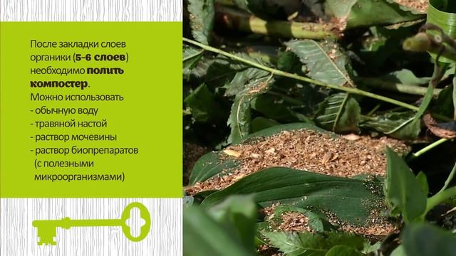 БЕСПЛАТНОЕ УДОБРЕНИЕ. ПРАВИЛА ПРИГОТОВЛЕНИЯ КОМПОСТА смотреть онлайн