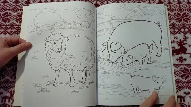 Лучшая раскраска животные/ обзор смотреть онлайн