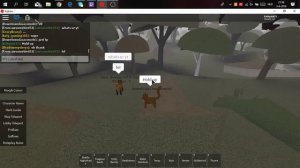 Playing in a Roblox VIP server (Warrior cats)