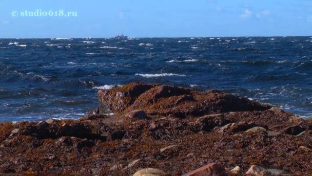 Кандалакшский морской природный заповедник. Терская инспекция. Мыс Турий Белого моря.
