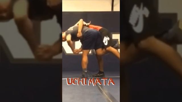 JUDO NOGI UCHI MATA for Wrestling смотреть онлайн
