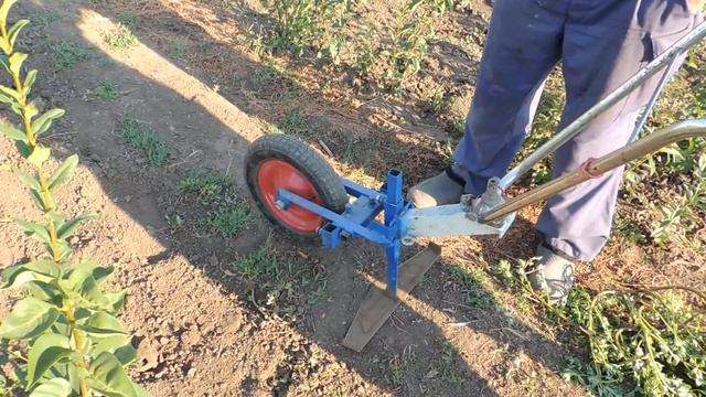 Пробуем самодельный ручной культиватор в работе