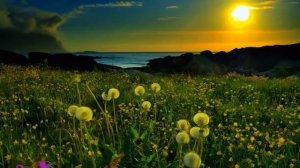 Музыка для души