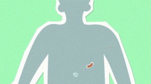 КАК РАБОТАЕТ КАОЛИНОВАЯ ГЛИНА? | KAOLINIA.RU