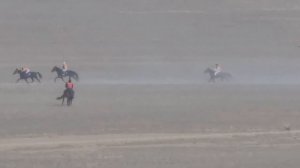 Жорго салыш 08 10 2022 Курчум Казакстан