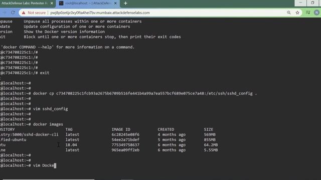 Docker Security: Corrupting Source Image III смотреть онлайн