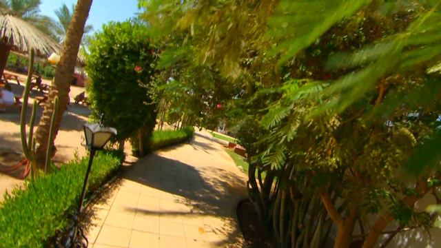 Dessole Seti Sharm Resort - русский смотреть онлайн