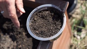 Посев Томатов  В открытый грунт ✔️ Томаты БЕЗ Рассады ? Советы Садоводам От Хитсад ТВ