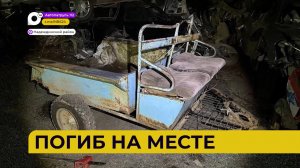 Автопатруль112 / Трагедия на трассе / Погиб на месте / Сбил школьницу / 14.11.23