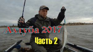 Ахтуба 2017 (Судак, щука)