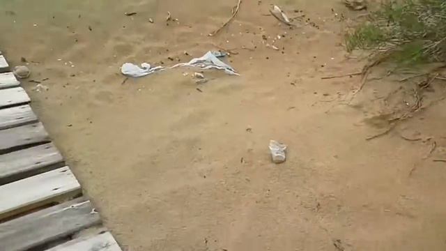 Крабы Анапы смотреть онлайн