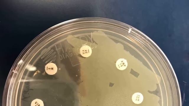 Small World Initiative Movie Trailer смотреть онлайн