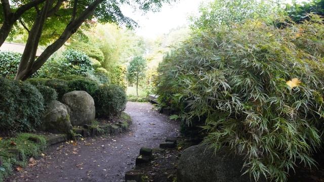 Viltrox 13mm f1.4 Autofocus Wide-angle Lens Review (Sony a6000 a5100 ZV-E10) смотреть онлайн