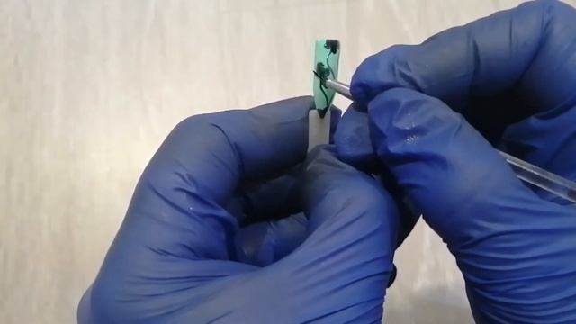 Идея для маникюра 2021 ? | Узор из цветов? | Весна 2021 | смотреть онлайн