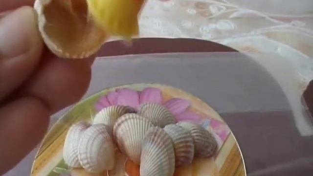 Птица Счастья из ракушек своими руками.Мастер-класс