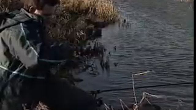 Big River Fish with Matt Hayes