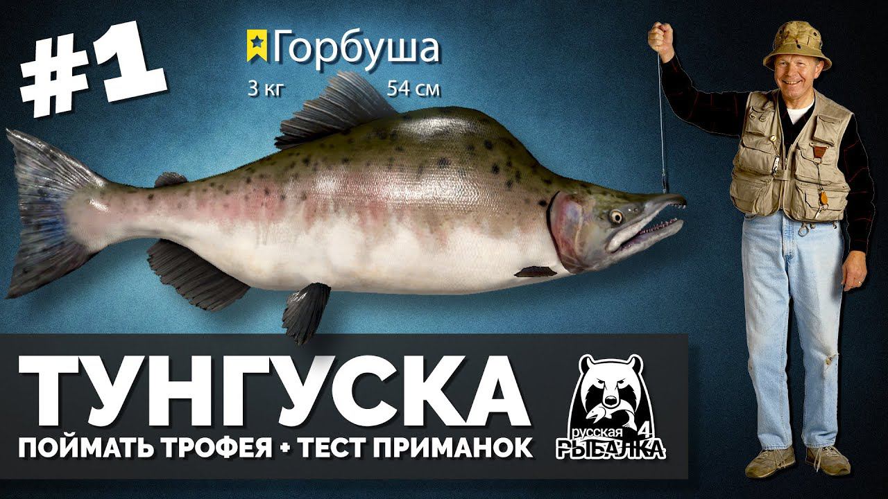 Русская Рыбалка 4 - Стрим #1 Ловим трофейную горбушу + тест приманок. смотреть онлайн