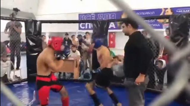 Шинахов Тигр Артур 🔥 смотреть онлайн