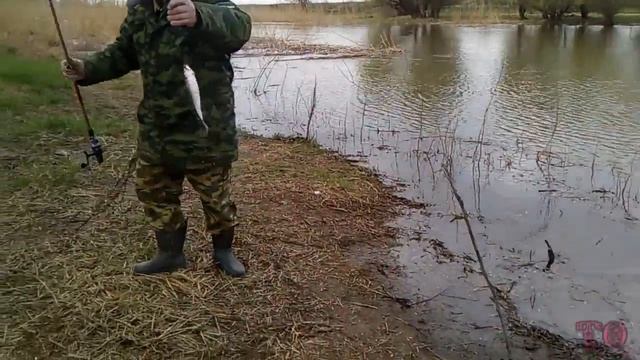 КУДА И КОГДА ПОЕХАТЬ НА РЫБАЛКУ НА НИЖНЮЮ ВОЛГУ, ВОБЛА 2018 смотреть онлайн