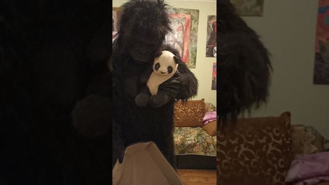 тетушка Горри из Бразилии, где много диких обезъян смотреть онлайн