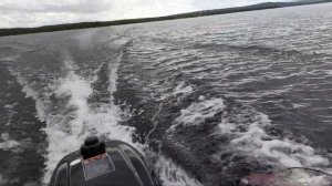 флагман 300+ сузуки 6 ас в двоем , глиссер , возможно .