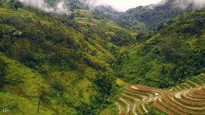 Как снять квартиру недорого в Грузии. От чего зависит стоимость аренды квартиры в Тбилиси или Батум