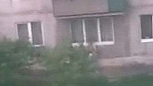 Харцызский ананист 2.3gp