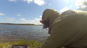 Ловля карася  фидером на платнике.