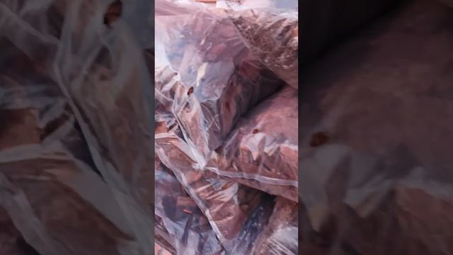 Кора лиственицы смотреть онлайн