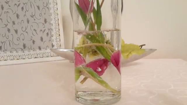 КОМПОЗИЦИЯ ИЗ ЦВЕТОВ В СТЕКЛЯННОЙ ВАЗЕ ,ТЮЛЬПАНЫ..COMPOSITION FROM FLOWERS..从花朵的设计 смотреть онлайн