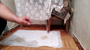Как научить щенка к ТУАЛЕТУ на улице / Как научить щенка ходить в ТУАЛЕТУ в одно определённое место