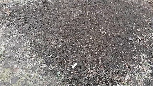 ПЕРВЫЕ ПОСАДКИ В ОГОРОДЕ 05 04 2023 смотреть онлайн