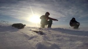 Зимняя рыбалка на Гилевском водохранилище