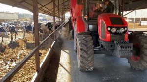 Мобильный раздатчик кормов Колнаг для КРС