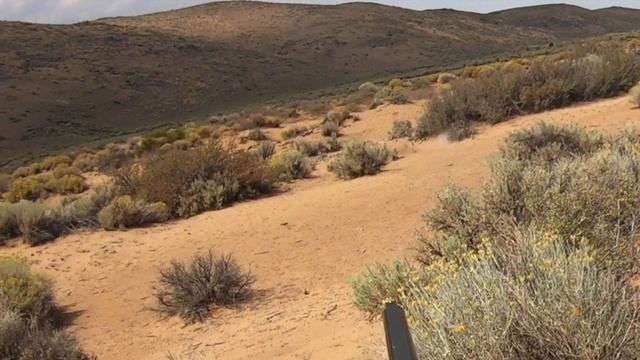 Hunting Jackrabbits with VINTAGE Shotgun and Ammo! (20 Gauge) смотреть онлайн