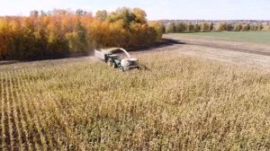 Плющение (дробление) зерна кукурузы кормоуборочным комбайном KRONE Big X