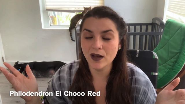 Plants and Pride смотреть онлайн