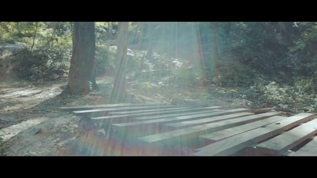 Run Wild: Ricky Raccoon смотреть онлайн